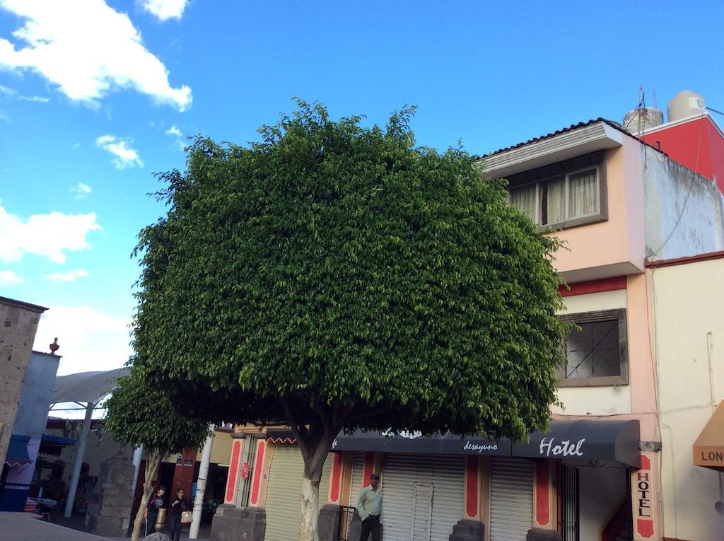 Hotel San Francisco Tequila Exterior photo